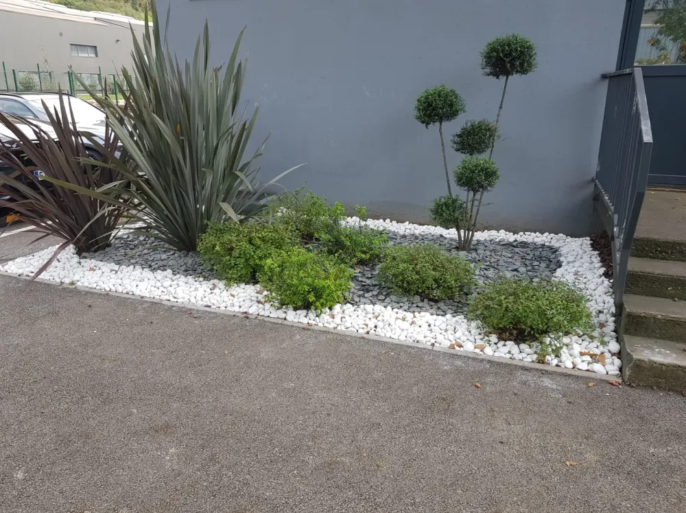 amenagement plantes immeuble