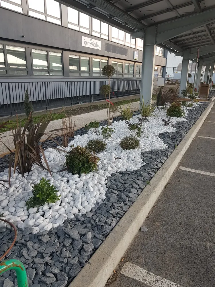 amenagement plantes parking (6)